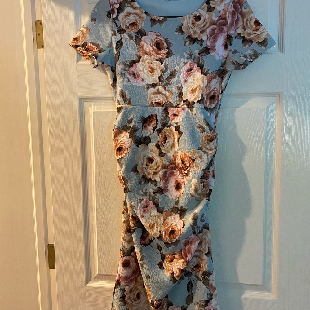 Pinkblush Maternity Fitted Dress